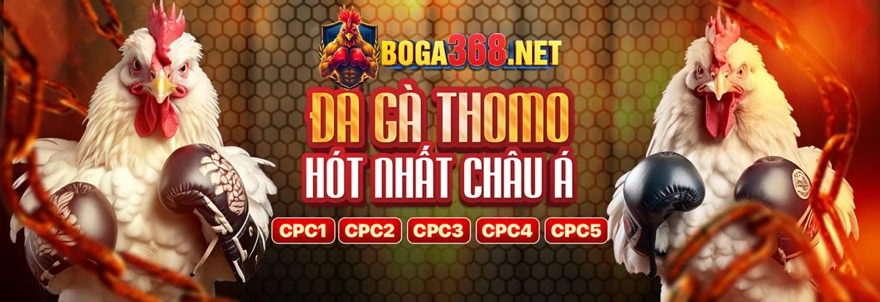 Giao diện đá gà trực tuyến B52 Club